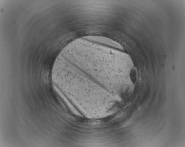 X0000061760514200512231554