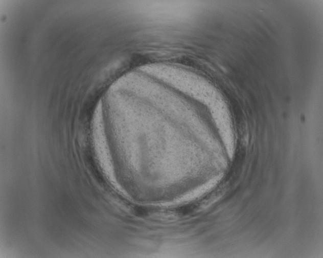 X0000061760515200512231554