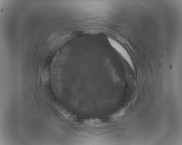 X0000061760517200512231554