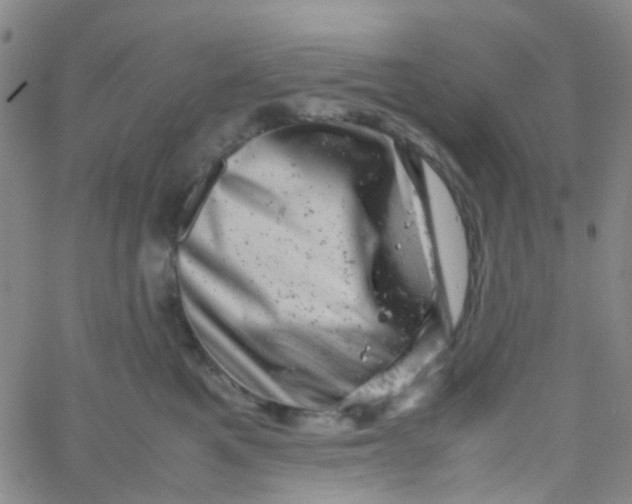 X0000061760521200512231554