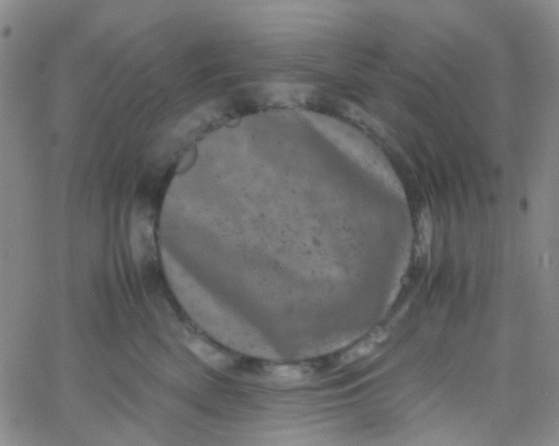 X0000061760522200512231554