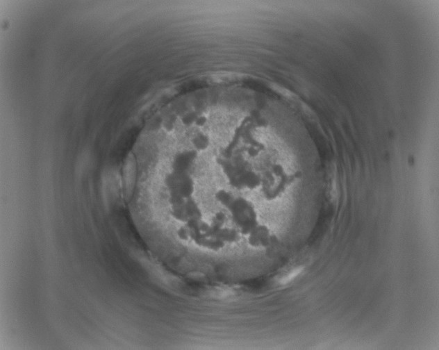 X0000061760523200512231554