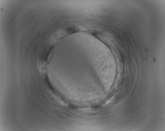 X0000061760525200512231554