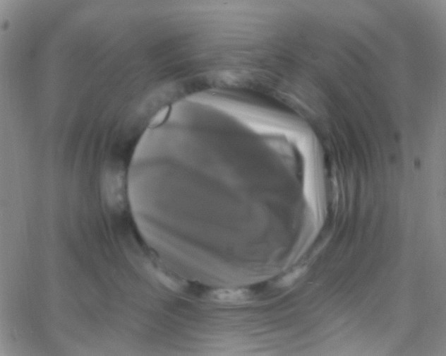 X0000061760526200512231554