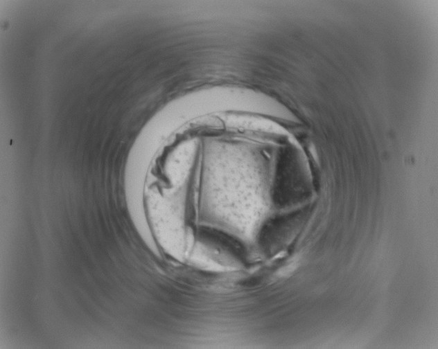 X0000061760528200512231554