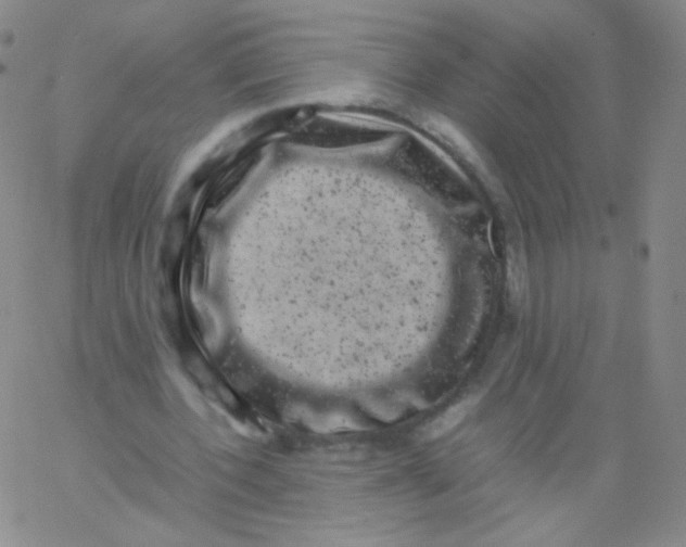 X0000061760532200512231553