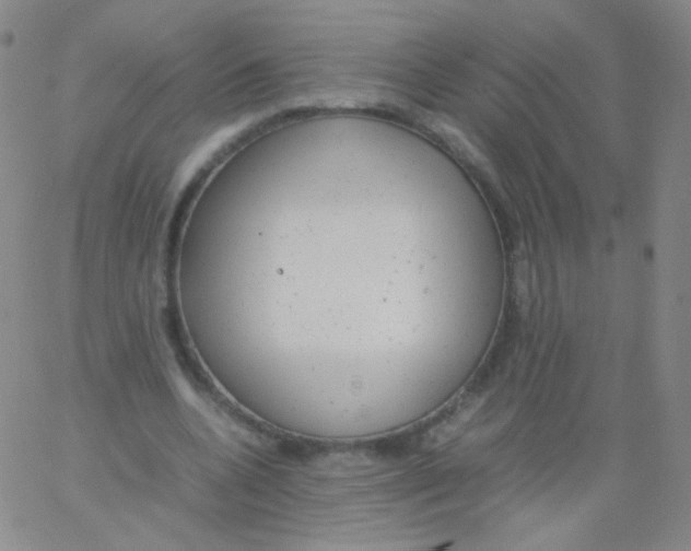 X0000061760536200512231553