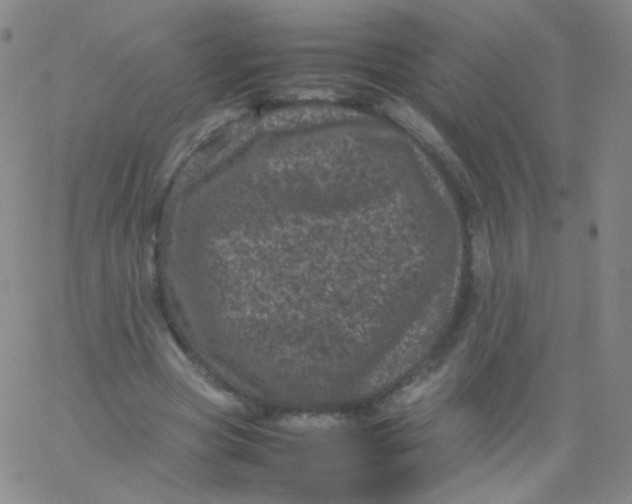 X0000061760537200512231553