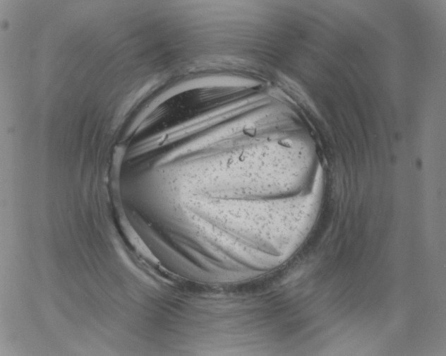 X0000061760538200512231553