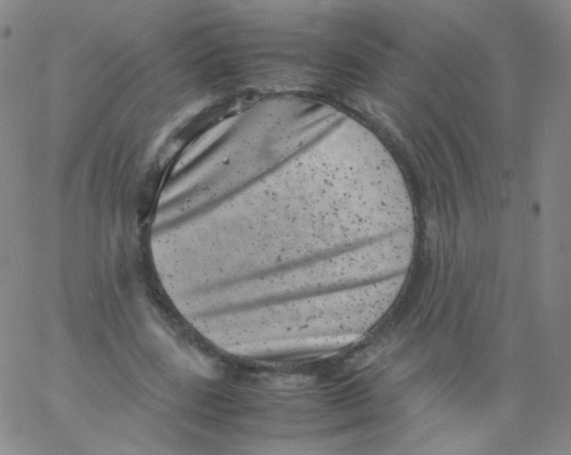 X0000061760539200512231553