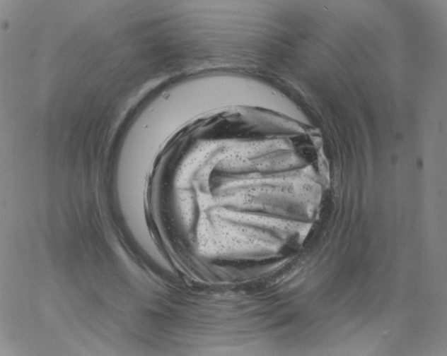 X0000061760540200512231553