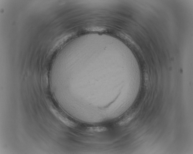 X0000061760541200512231553