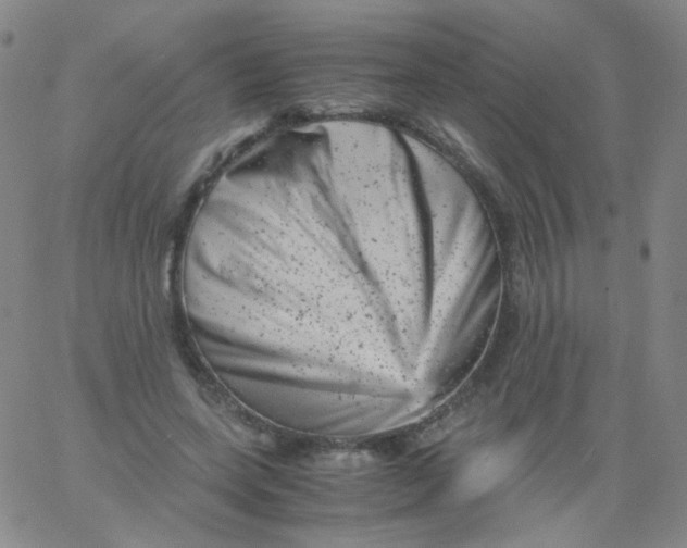 X0000061760543200512231553