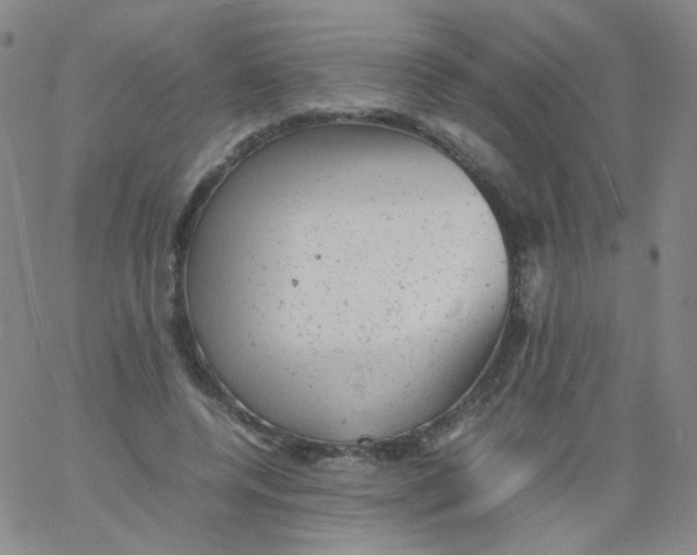 X0000061760544200512231553