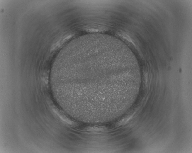 X0000061760545200512231553