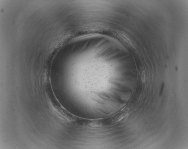 X0000061760546200512231553