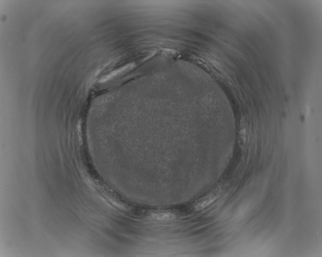 X0000061760547200512231553