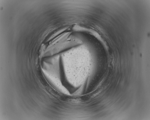 X0000061760548200512231553