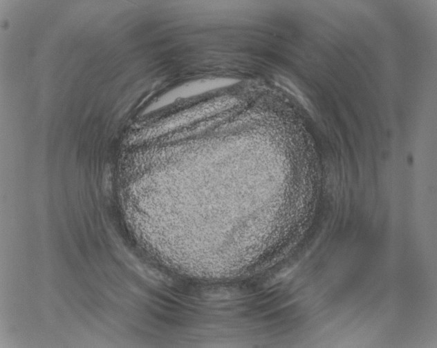 X0000061760549200512231553