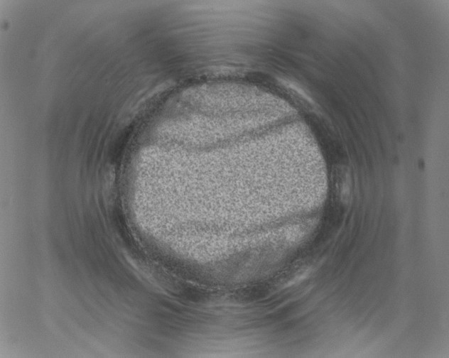 X0000061760550200512231553