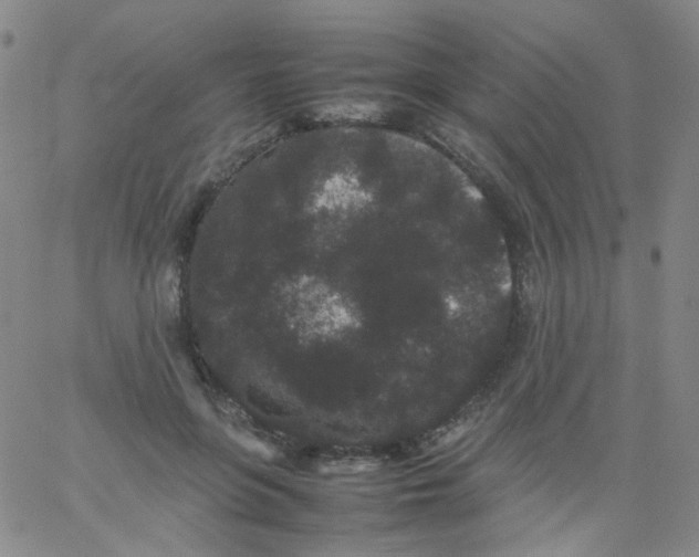 X0000061760551200512231553