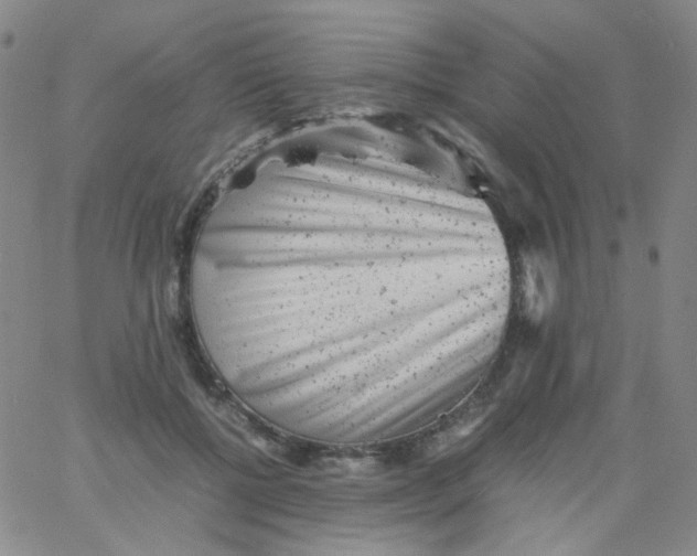 X0000061760552200512231553