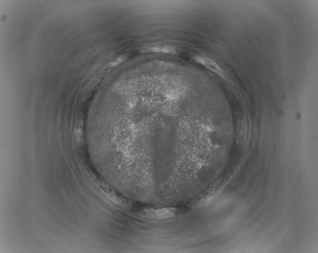 X0000061760553200512231553