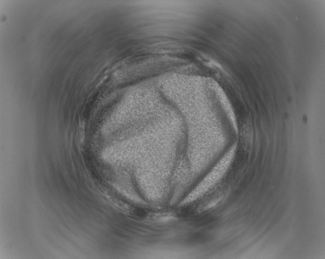 X0000061760554200512231553