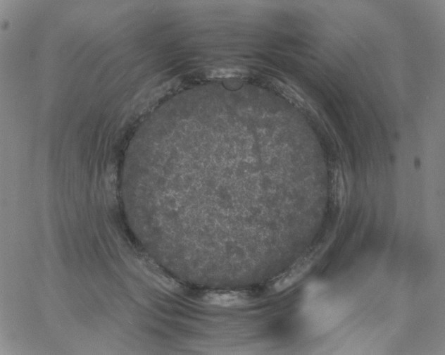 X0000061760557200512231554