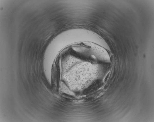 X0000061760560200512231554