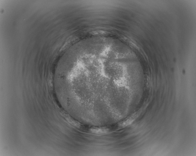 X0000061760561200512231554