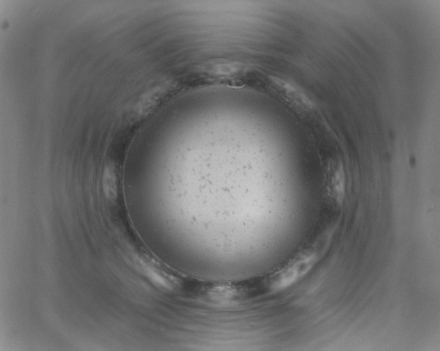 X0000061760562200512231554