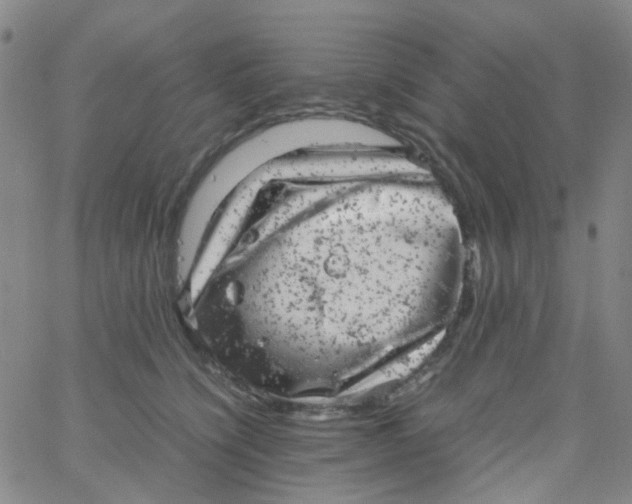 X0000061760564200512231554