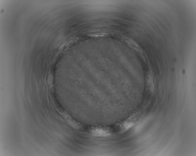 X0000061760565200512231554