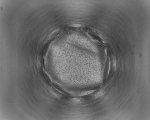 X0000061760566200512231554