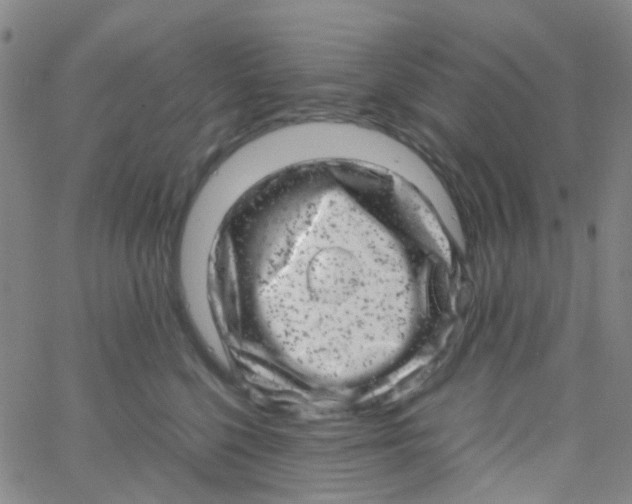 X0000061760568200512231554