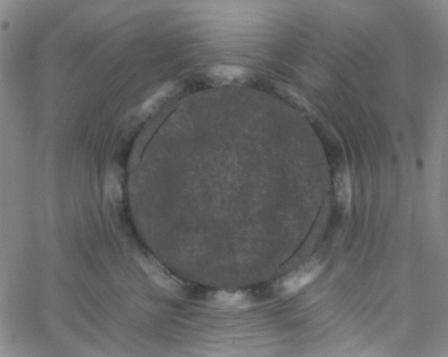 X0000061760570200512231554