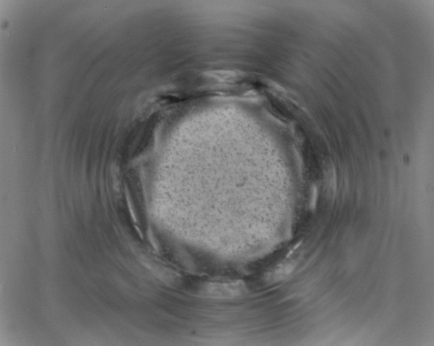 X0000061760571200512231554