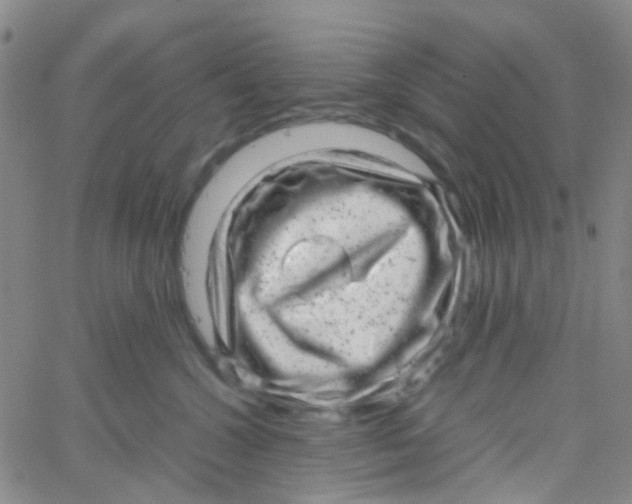 X0000061760572200512231554