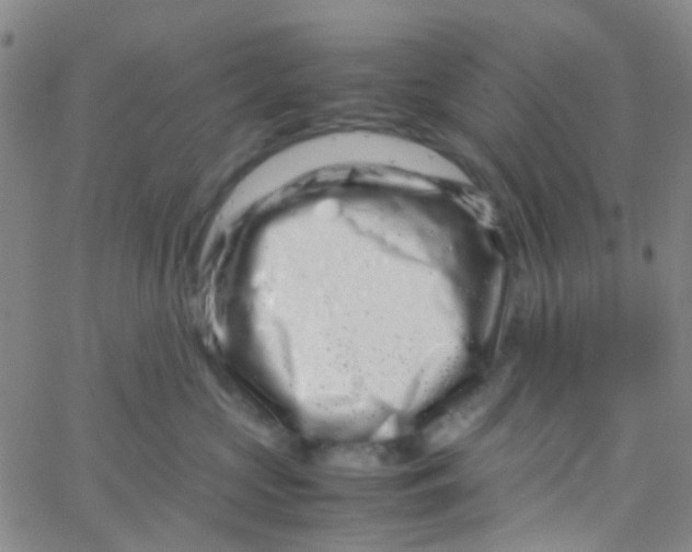 X0000061760573200512231554