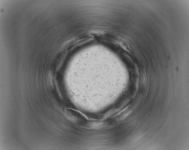 X0000061760575200512231554