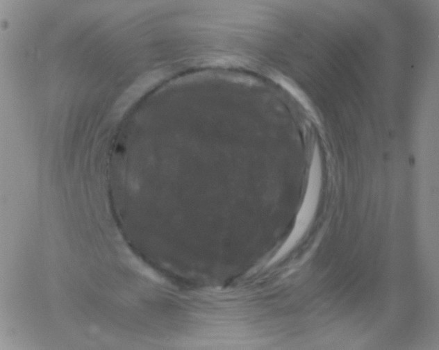 X0000061760577200512231553