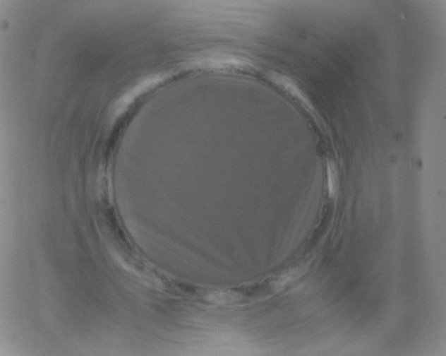 X0000061760579200512231553