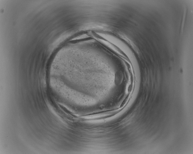 X0000061760582200512231553