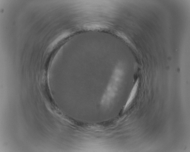 X0000061760583200512231553