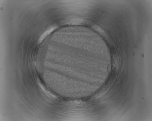 X0000061760586200512231553