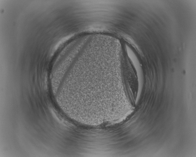 X0000061760588200512231553