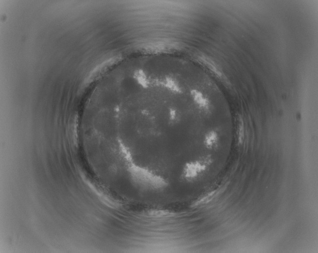 X0000061760590200512231553