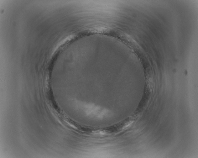 X0000061760591200512231553