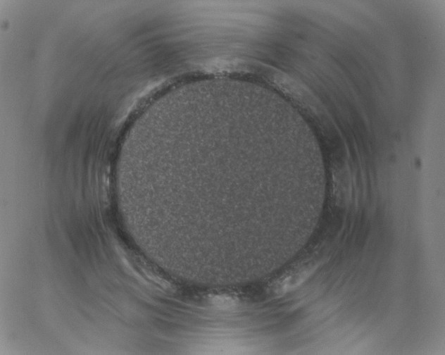 X0000061760592200512231553